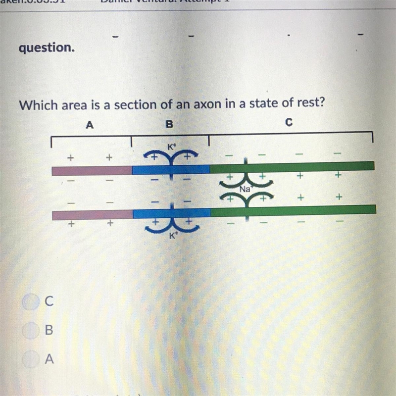 Which area is a section of an axon in a state of rest?-example-1