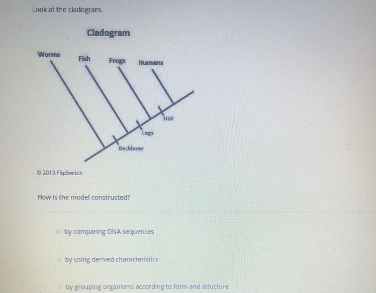 How is the model constructed ? A) By comparing DNA sequences B) By using derived characteristics-example-1