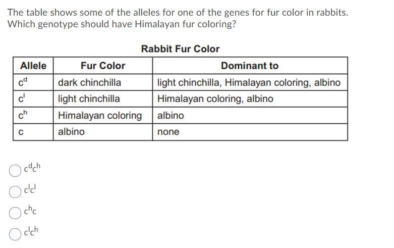 The table shows some of the alleles for one of the genes for fur color in rabbits-example-1