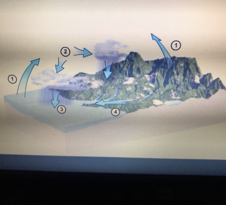 PLZ ANSWER FAST Which number represents runoff on this diagram A) 1 B) 2 C) 3 D) 4-example-1