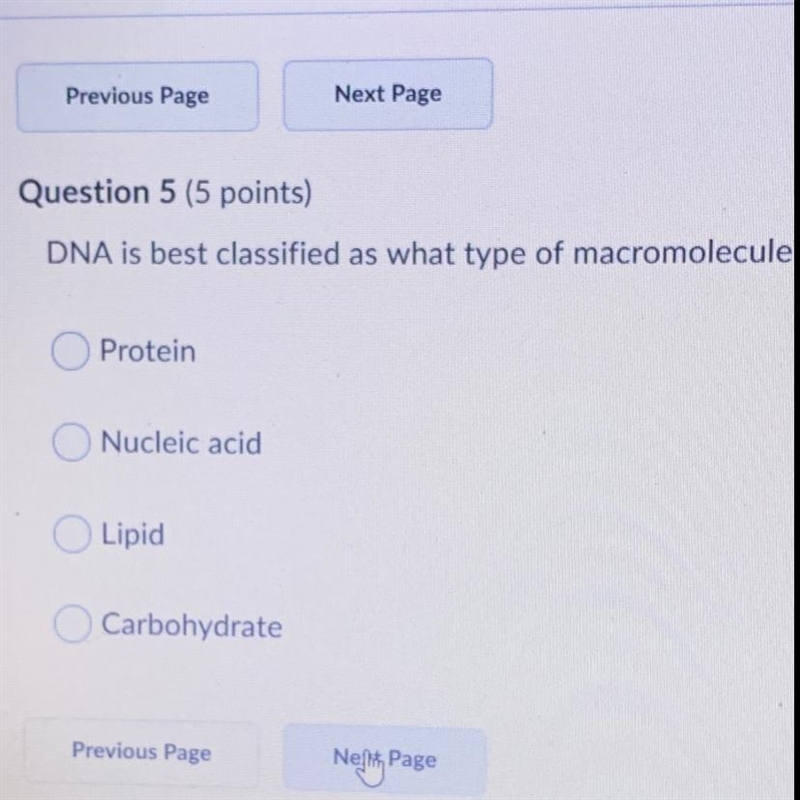 Dna is best classified as what type of macromolecule . ?-example-1