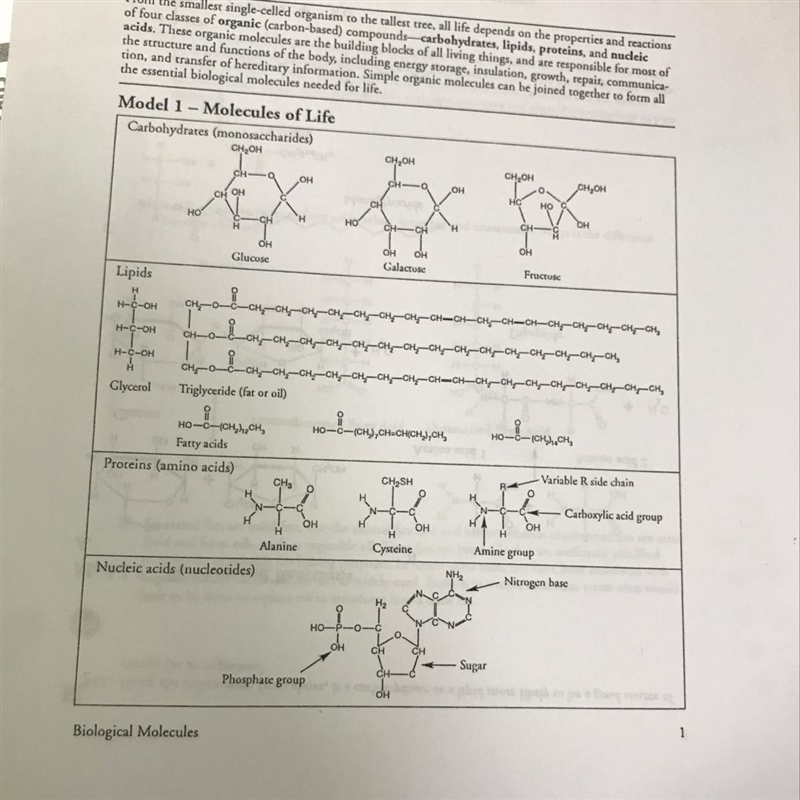 What is the chemical formula of the first carbohydrate molecule-example-1