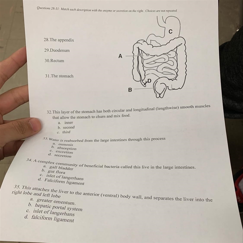 Help I need answers fast Thank you for the help-example-1