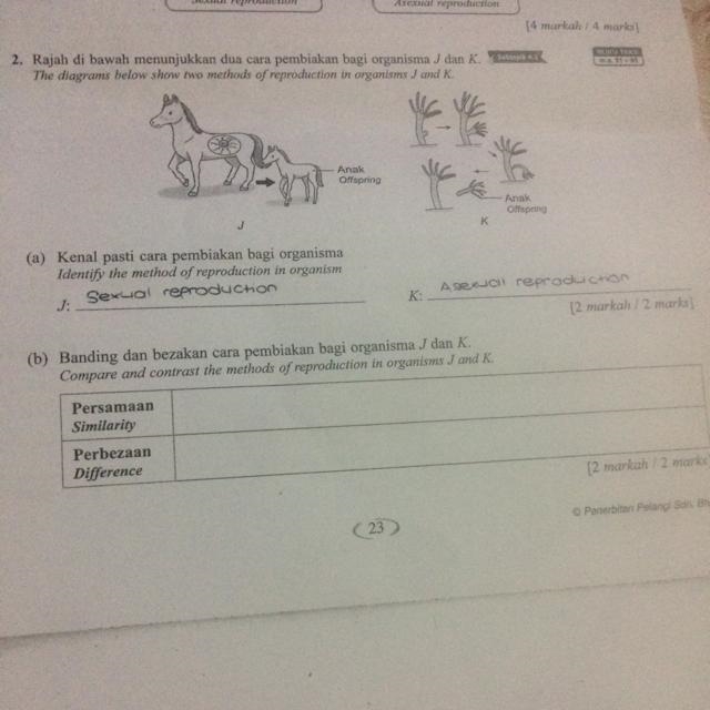 What is the similarity and difference for j and k-example-1