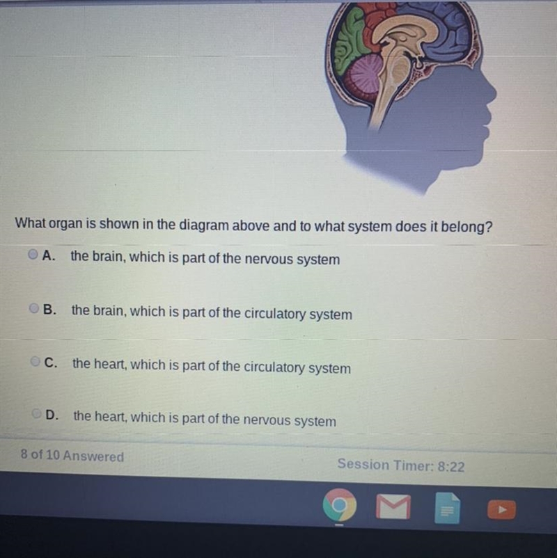 What organ is shown in the diagram above into a system does it belong?-example-1