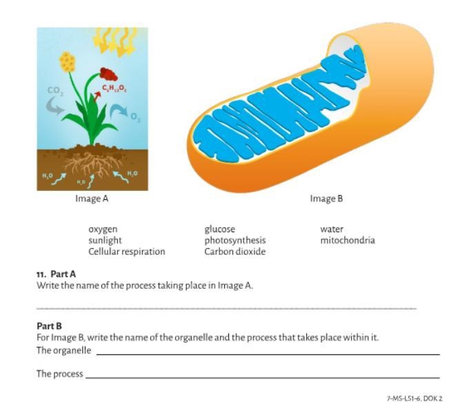 Examine the images carefully and use them to answer PART A and PART B.-example-1