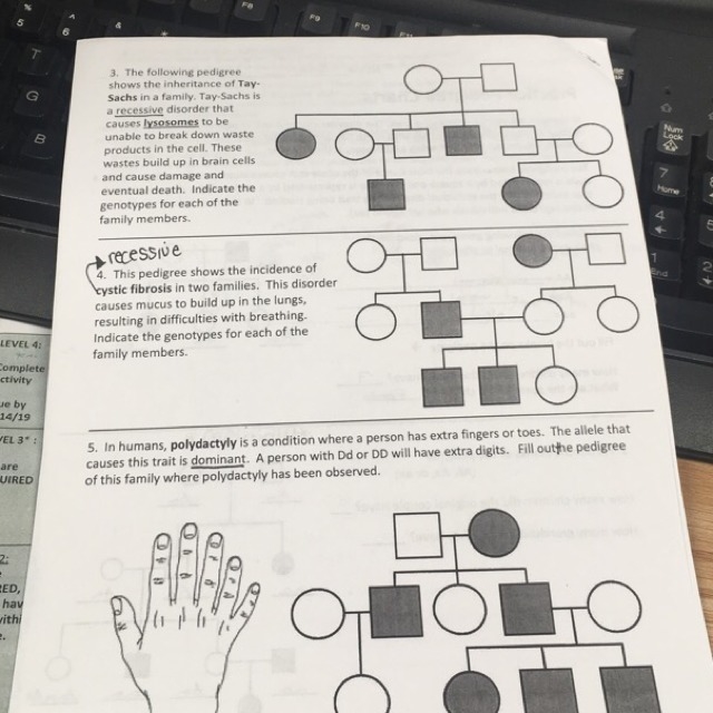 Need help with this(I have the picture of the problem)-example-1