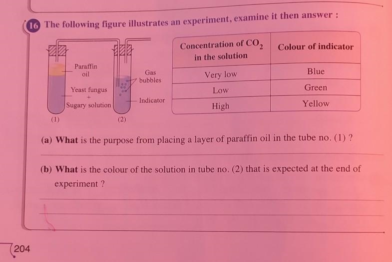 What is the purpose from placing ......... and what is the colour of .............​-example-1