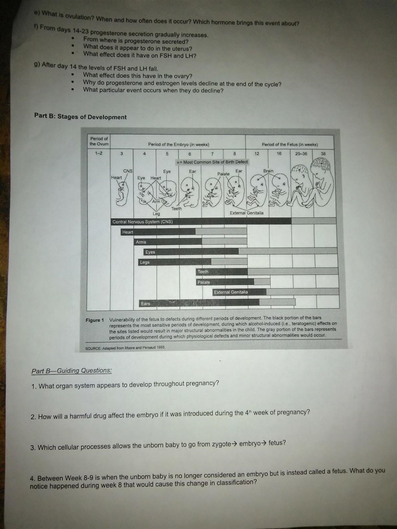 Please help on e) f) g) and partB please ​i hope it's brighter now and clear to see-example-1