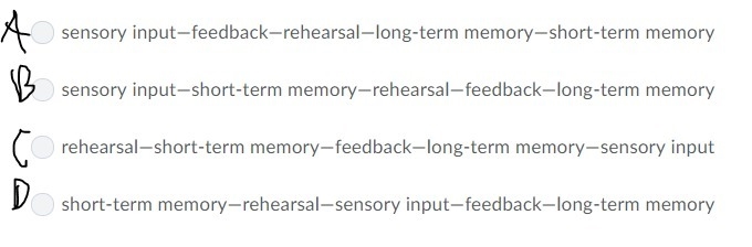 Which set of steps describes the way the brain learns according to the information-example-1