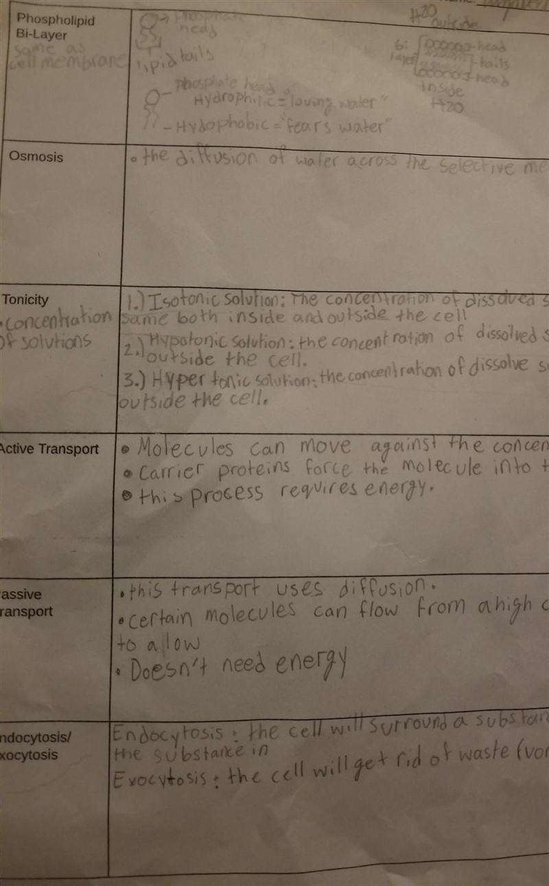 What are some good ways to study this besides reading it over and over again?​-example-1