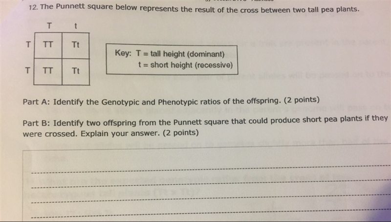 12. The Punnet square below represents the result of the cross between two tall pea-example-1