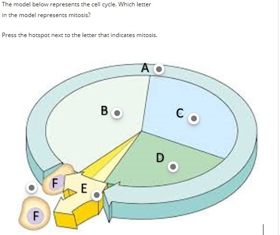 Biology questionsss, help pls <3 ty-example-1