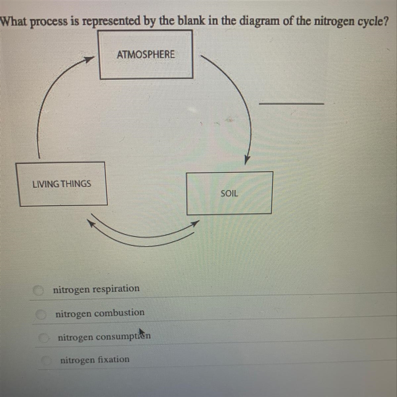 What process is represented by the blank in the diagram of the nitrogen cycle?-example-1