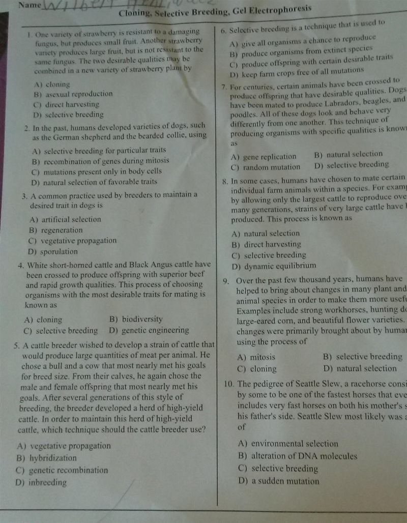 please somebody help me with science Gel Electrophoresis what are the answer chioces-example-1