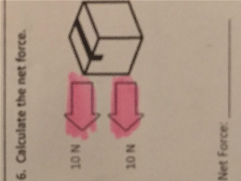 Calculate the net force.-example-1