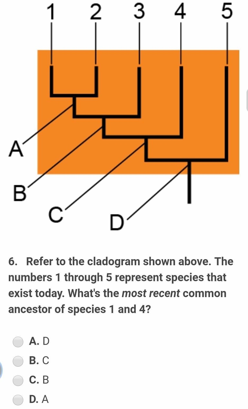 Refer to the cladogram shown above. The numbers 1 through 5 represent species that-example-1