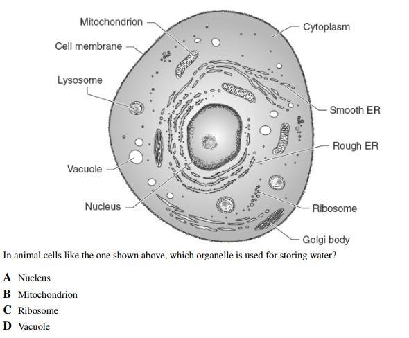 Hi biology help desperately needed! Thanks for any help!-example-3