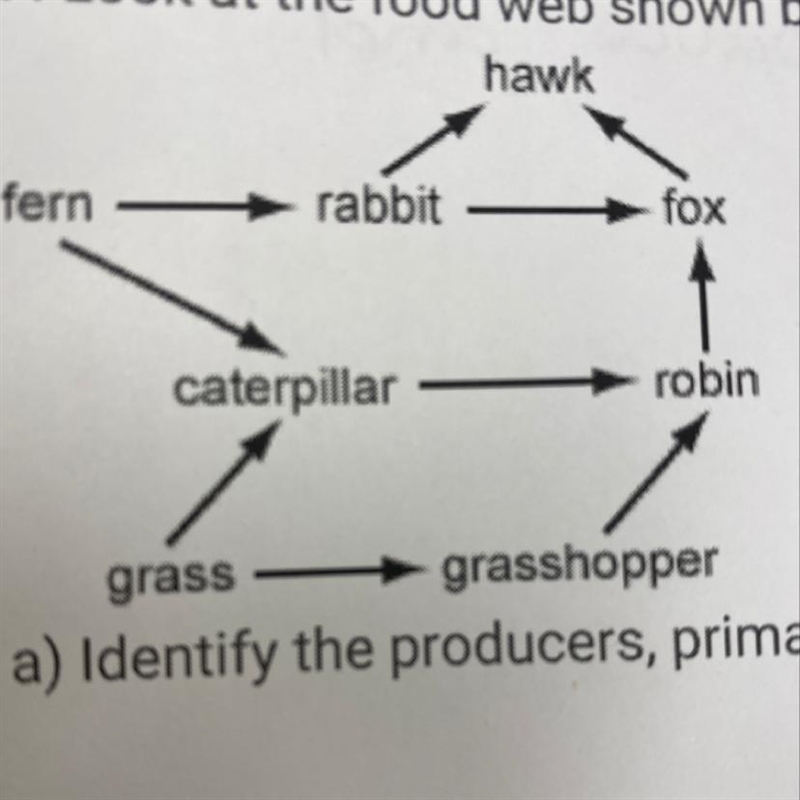 Which organism in this ecosystem would have the smallest population? why?-example-1