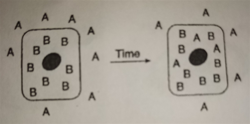 State one possible reason why molecule A could diffuse across the membrane but molecule-example-1