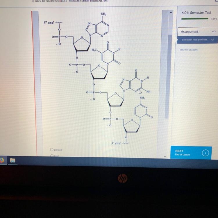 What is the structure pictured? A: protein B: lipid C: nucleic acid D: carbohydrate-example-1