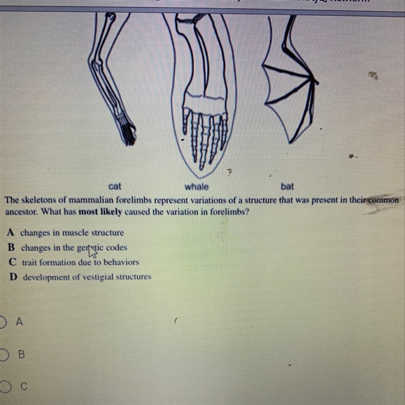 Does anyone know the answer to the question-example-1