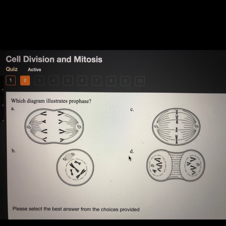 Plzzzz help!!!! Which diagram illustrates prophase?-example-1