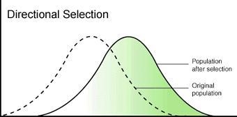 The graph below is of directional selection. Which statement can be supported by the-example-1