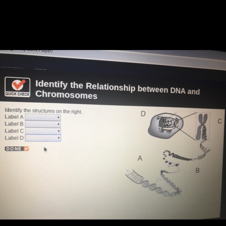 Identify the structures ! 20 points-example-1