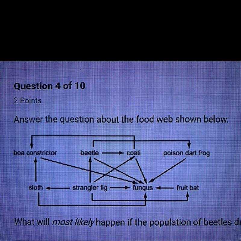 What will most Ekelyhappen if the population of beetles drops suddening A.)coatis-example-1
