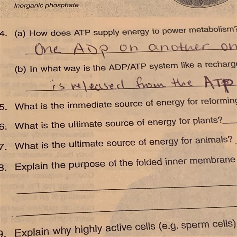 What is the ultimate source of energy for plants-example-1