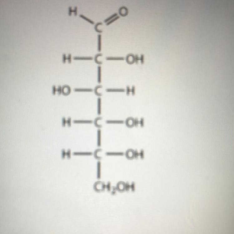 What is the name of the carbohydrate formed during photosynthesis? A.) phosphorous-example-1