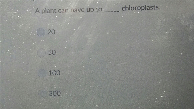 A plant can have up to_______ chloroplasts-example-1