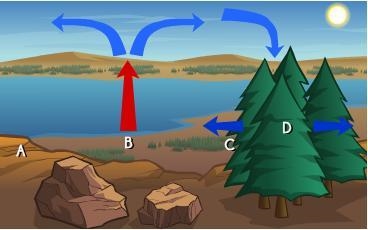 PLEASE HELP ASAP Which letter indicates a region of low pressure in the diagram below-example-1