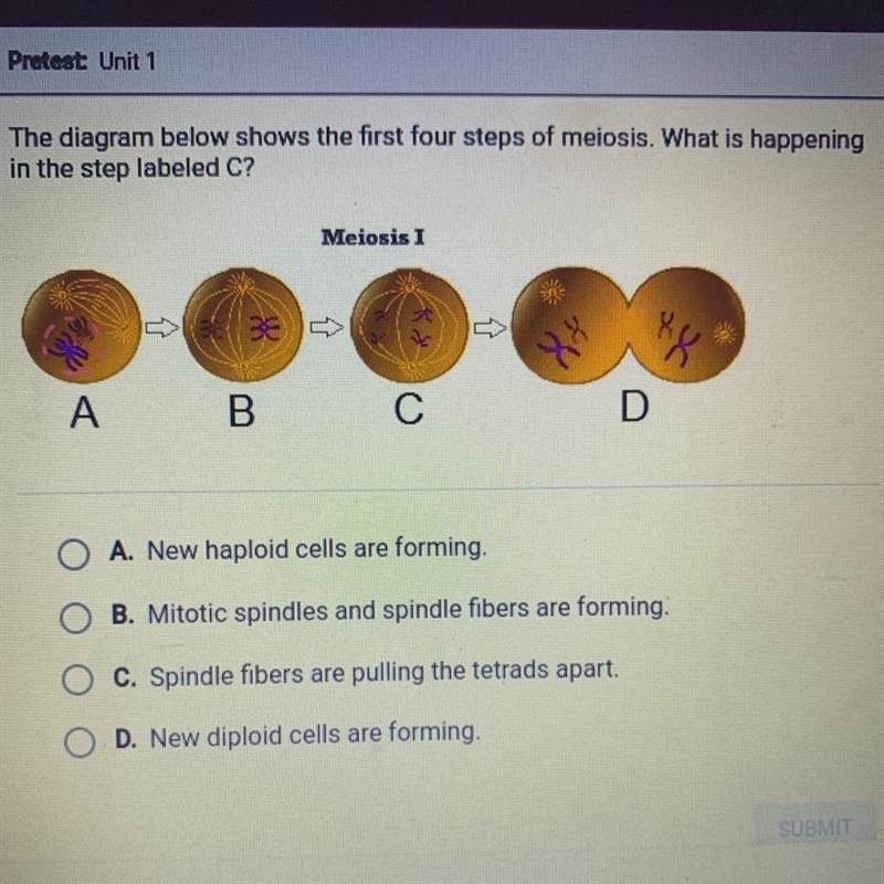 The diagram below shows the first four steps of meiosis. What is happening in the-example-1