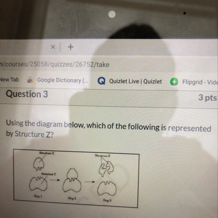 Using the diagram below, which of the following is represented by Structure Z?-example-1