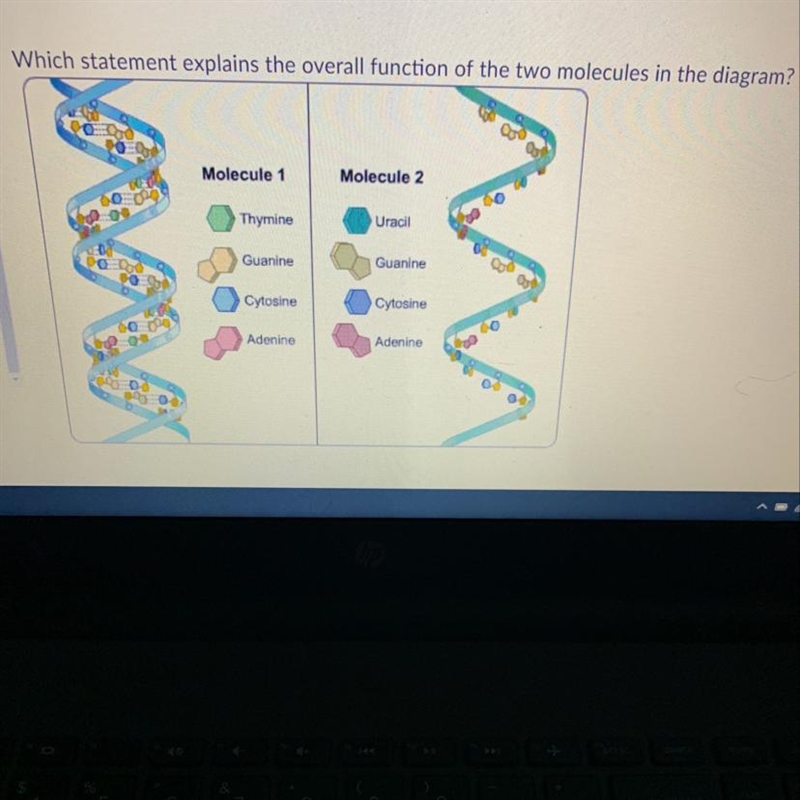 A) they make up an organisms physical structure B) they carry information about how-example-1