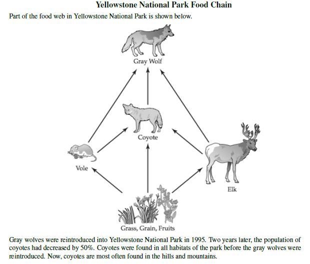 Which statement describes the role of the caterpillar in this food chain? A) It is-example-2