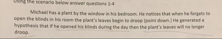 What is the best way for Michael to test his hypothesis?-example-1