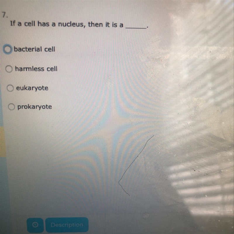 If a cell has a nucleus then it is a-example-1