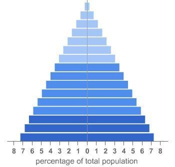 What conclusion can you draw from the population pyramid? Death rates are low. Birth-example-1