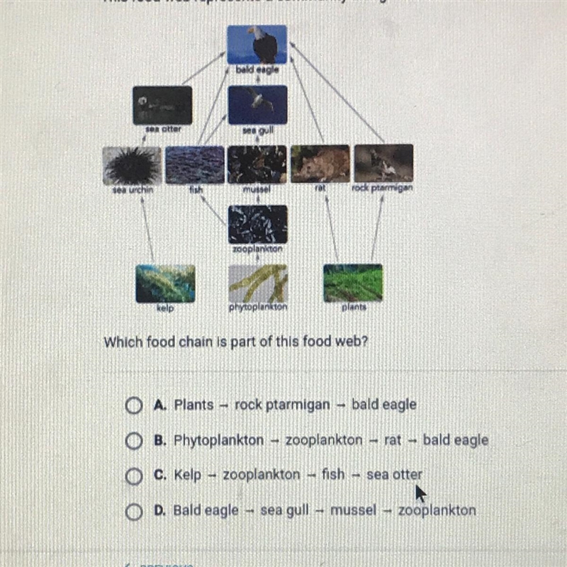 This food web represents a community along the coast of Alaska-example-1