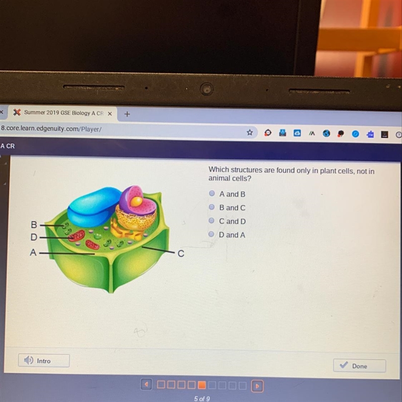 Which structures are found only in plant cells,not in animal cells?-example-1