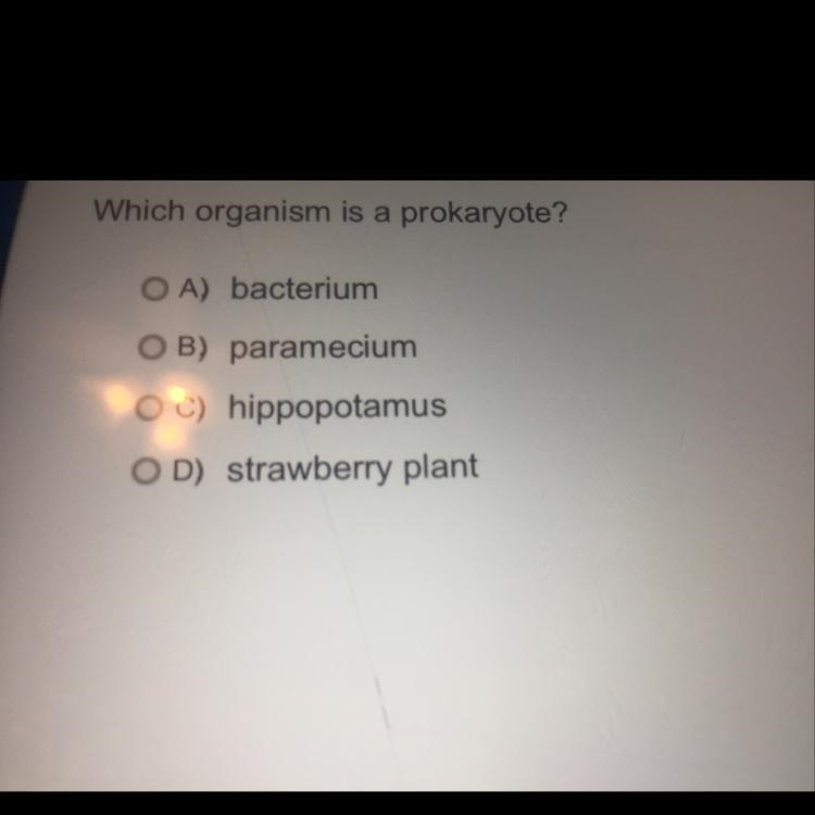 Which organism is a prokaryote ?-example-1