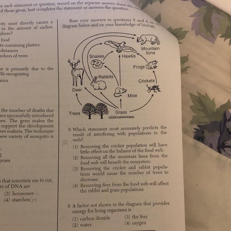 I need help with 5 & 6 please and thank ya-example-1