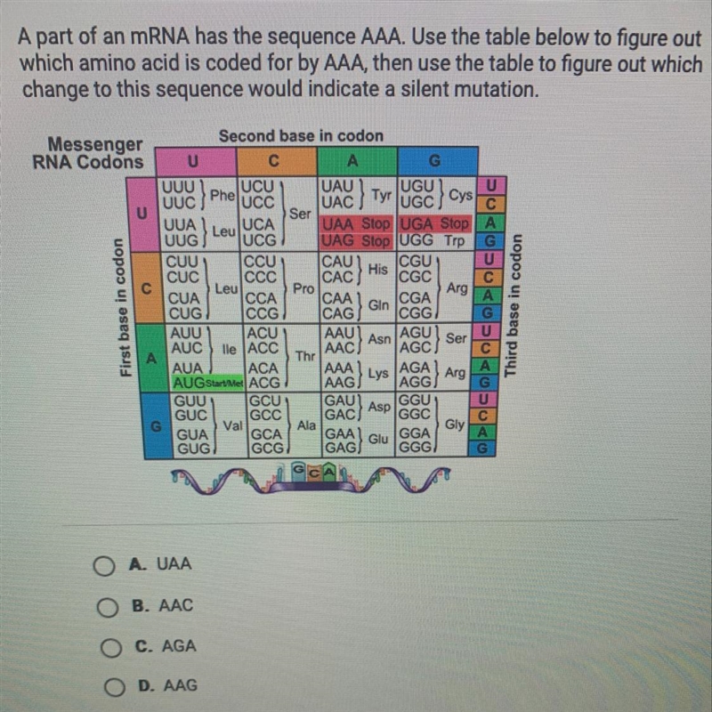 A part of an mRNA has the sequence AAA. Use the table below to figure out which amino-example-1