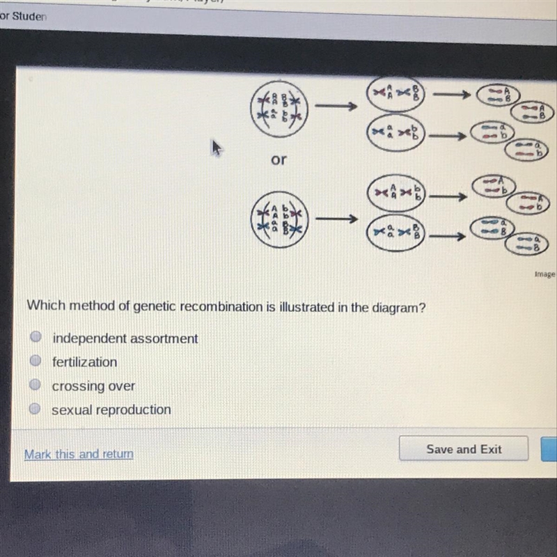 Which is the correct answer-example-1