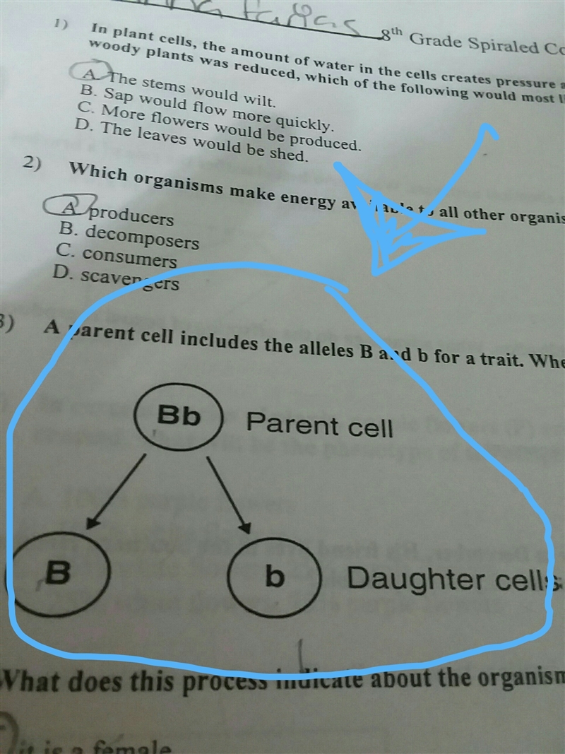 What dose this process indicate about the organisms from which the parent cell originated-example-1