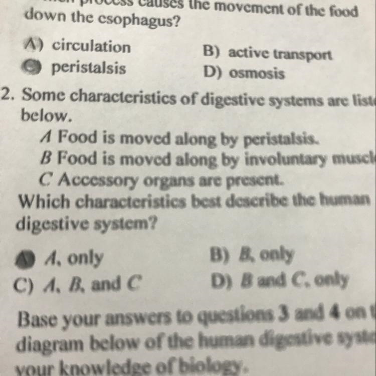 Which characteristics best describe the human digestive system?-example-1