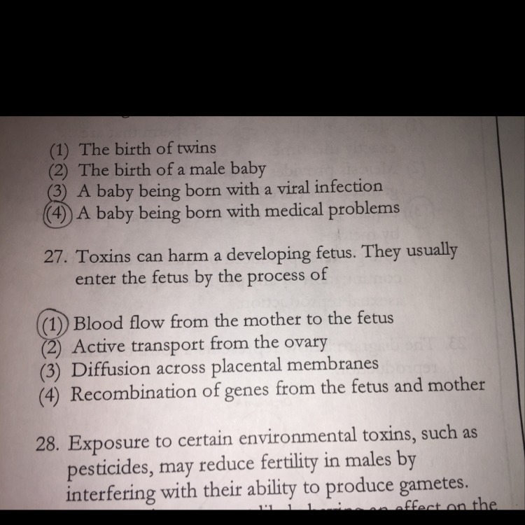 Why is three the correct answer to number 27 ? Please explain why !!-example-1